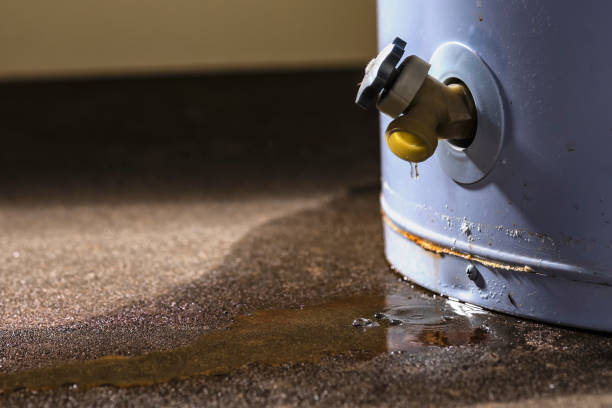 Best Flood damage cleanup  in , AZ