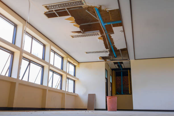 Best Commercial water damage restoration  in , AZ