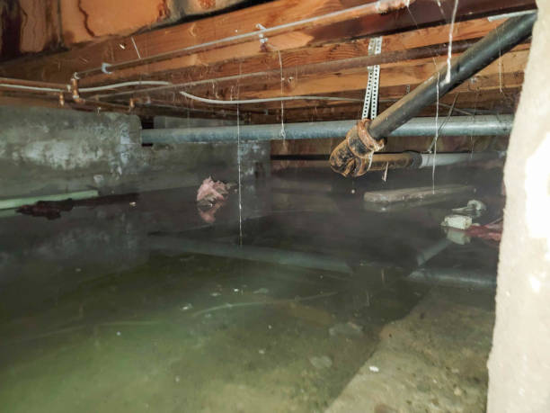 Best 24/7 water damage repair  in , AZ