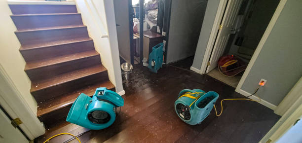 Best 24-hour water damage restoration  in , AZ