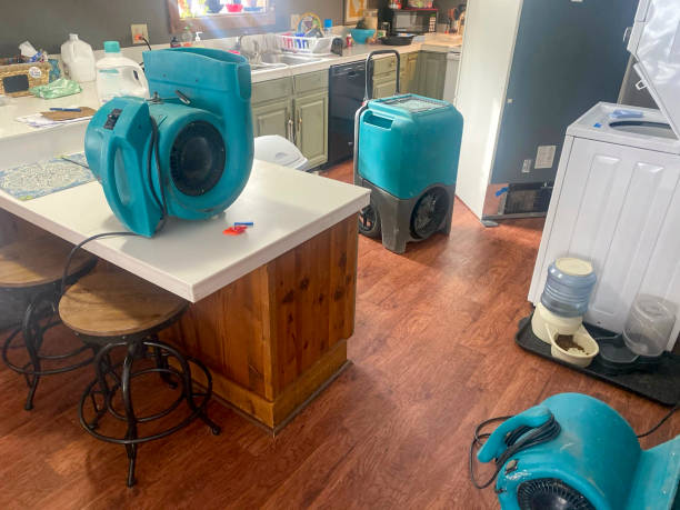  , AZ Water damage restoration Pros