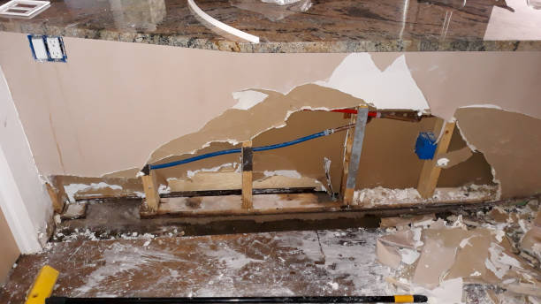 Best Water damage contractors near me  in , AZ