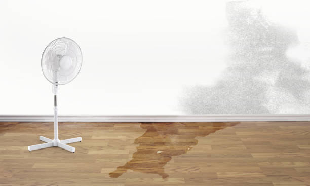 Best Sewage cleanup and water damage restoration  in , AZ