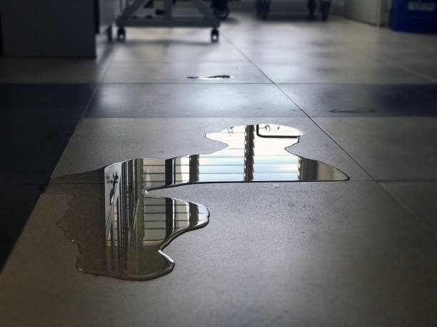 Best Professional water damage repair  in , AZ