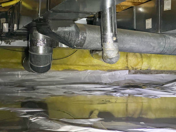 Best Water damage restoration insurance claims  in , AZ