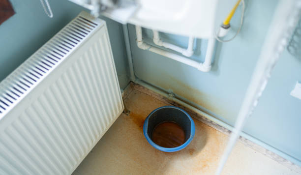 Best Ceiling water damage repair  in , AZ