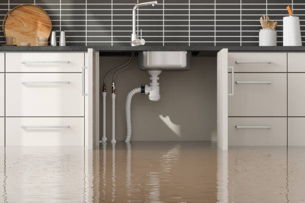 Best Flooded house restoration  in , AZ