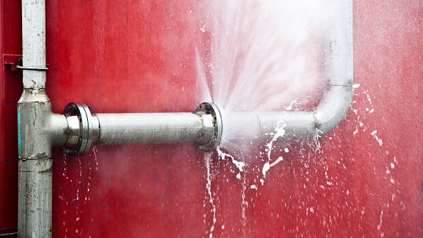 Best Flood restoration services  in , AZ