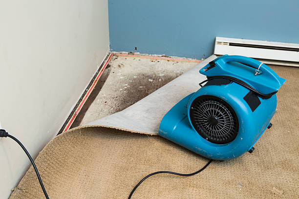  , AZ Water damage restoration Pros
